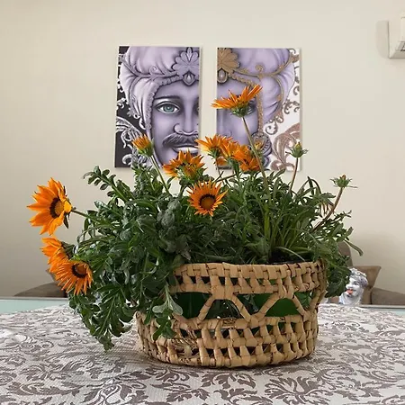 Appartement Balcone Eleonora *